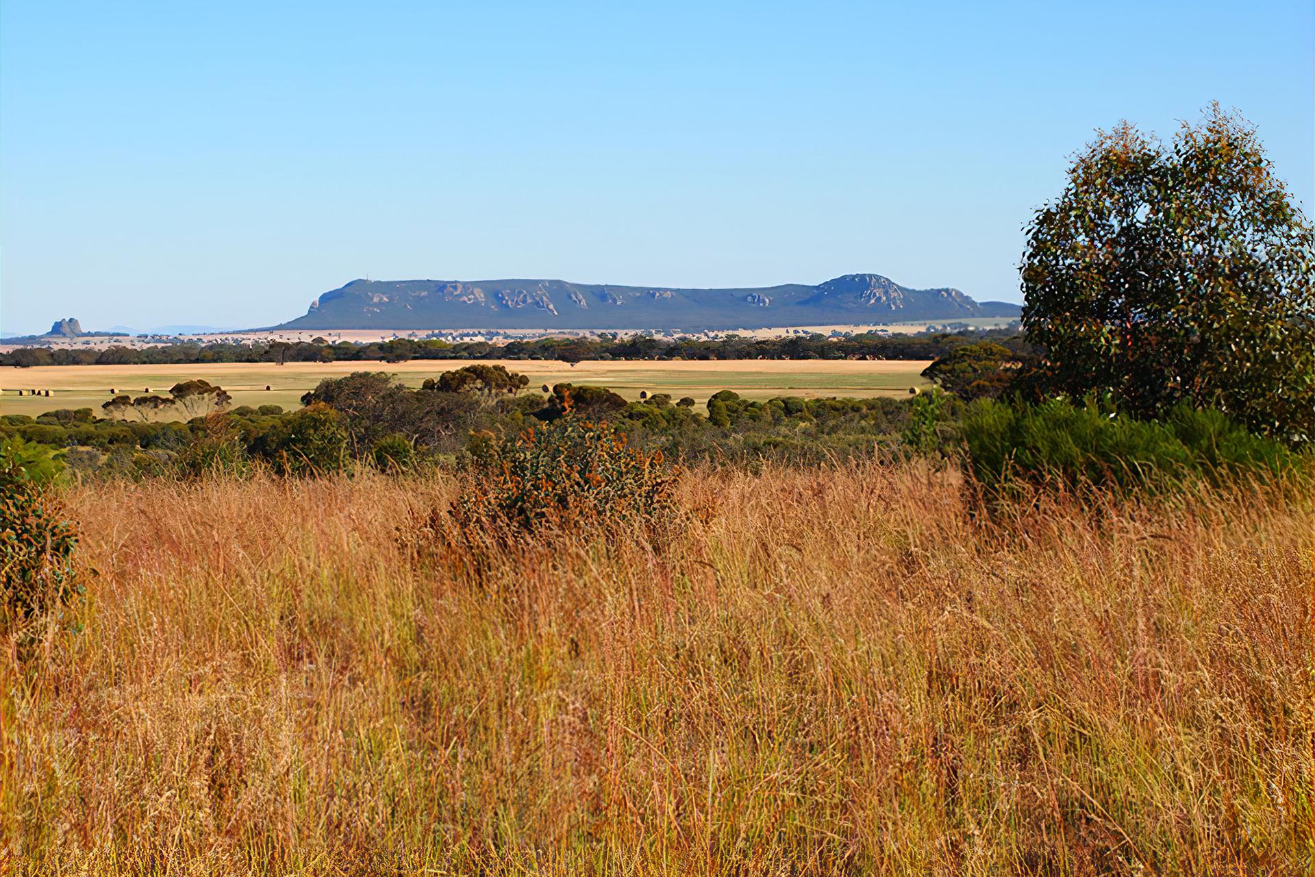 Wimmera Biodiversity Hotspot-1