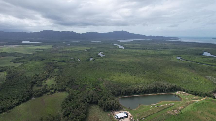 Nightwings Daintree Restoration-3