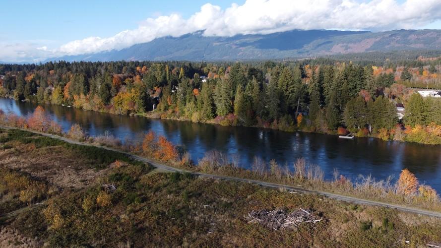 Somass Estuary Reforestation with First Nations-0
