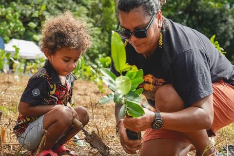 Partnerships for the goals