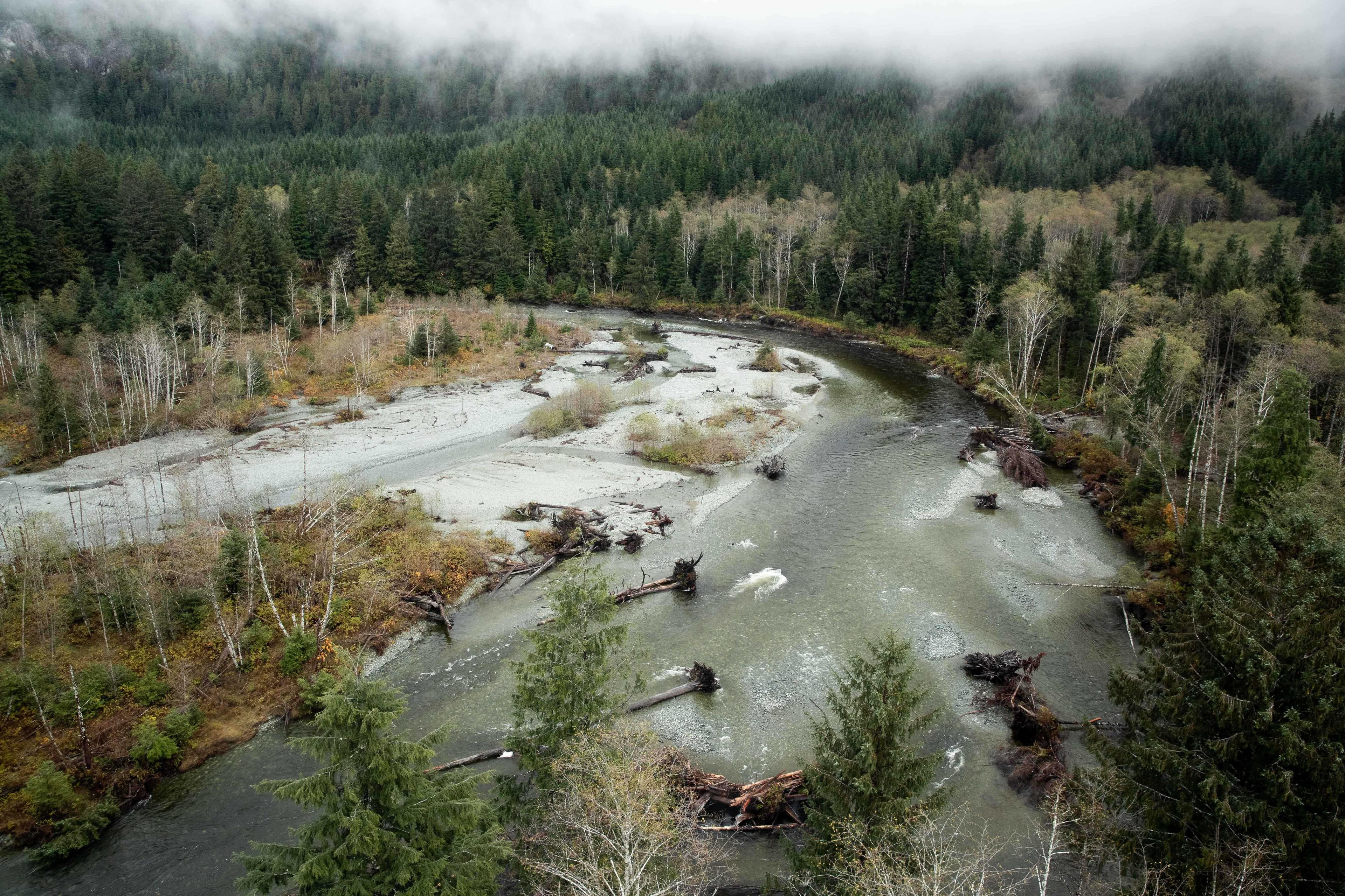 Salmon Habitat in Coastal Watersheds-2