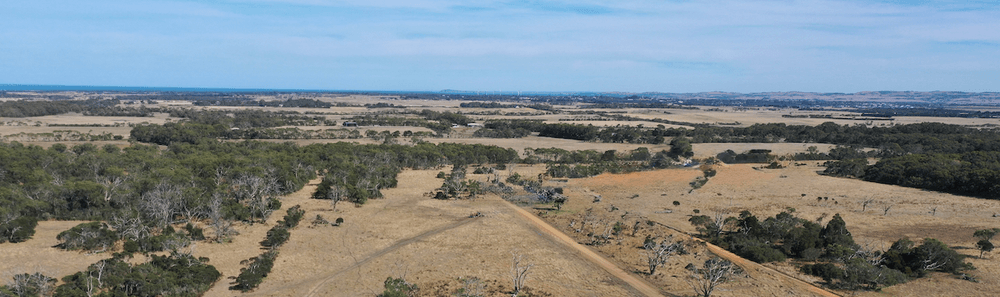Strzelecki Ranges Restoration Project -0