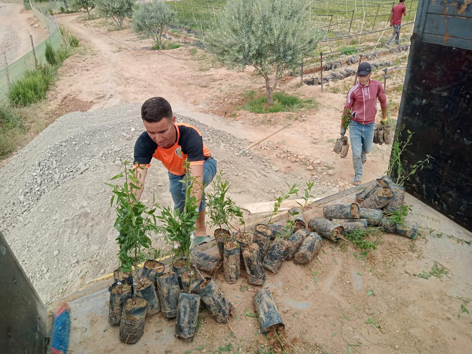 Food Forests in the Atlas Mountains-3