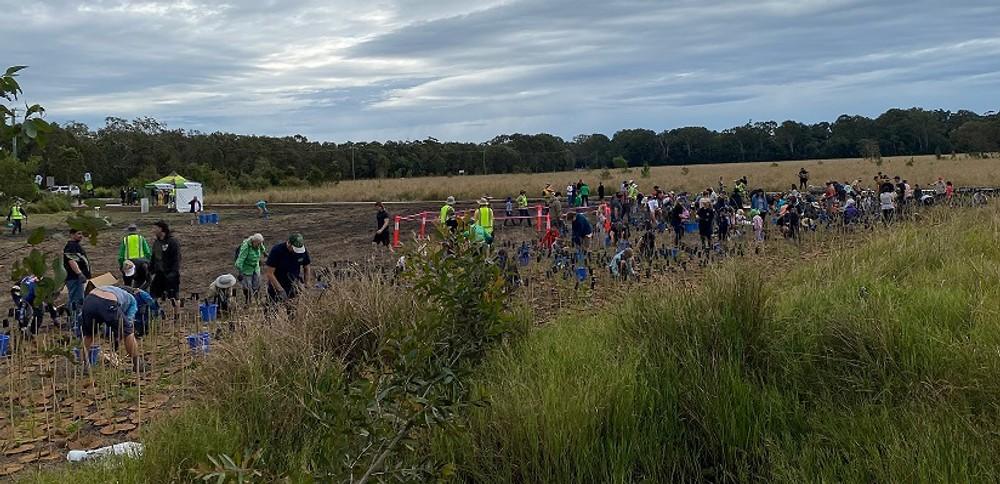 Doonan Community Restoration-0