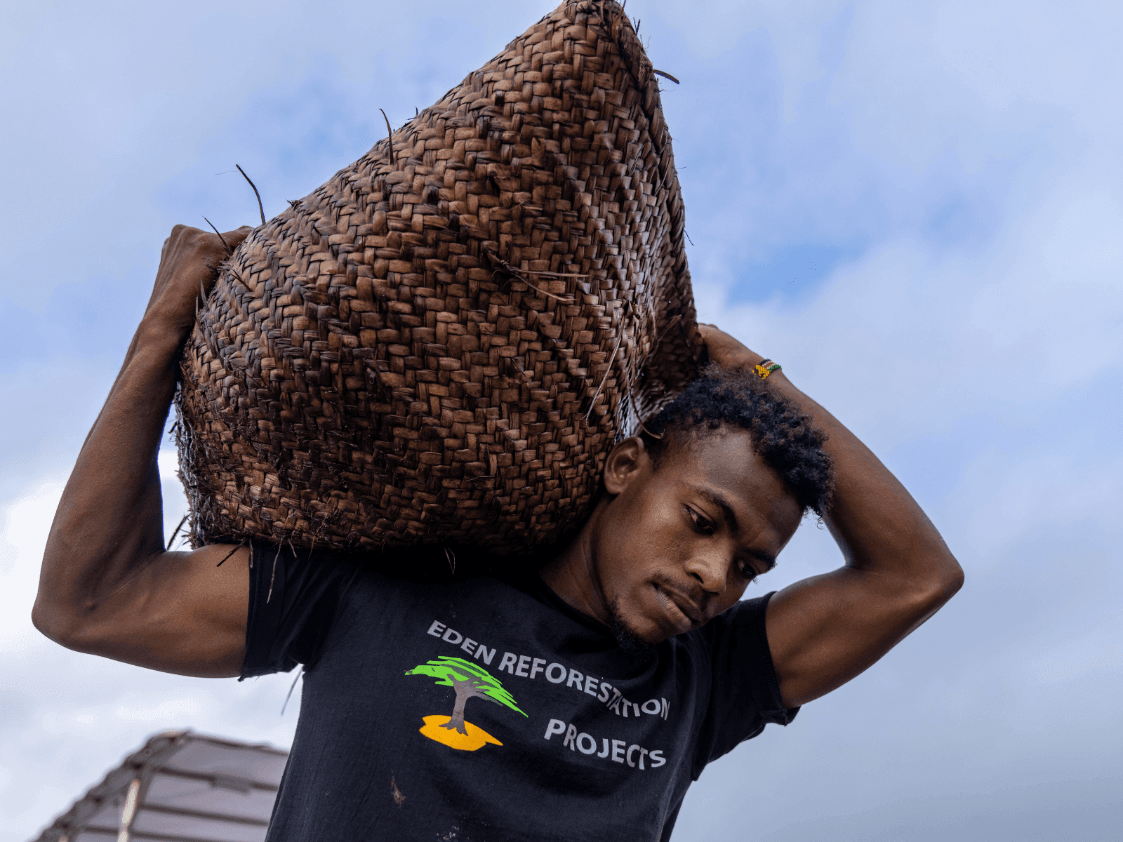 Tana Delta Reforestation-2