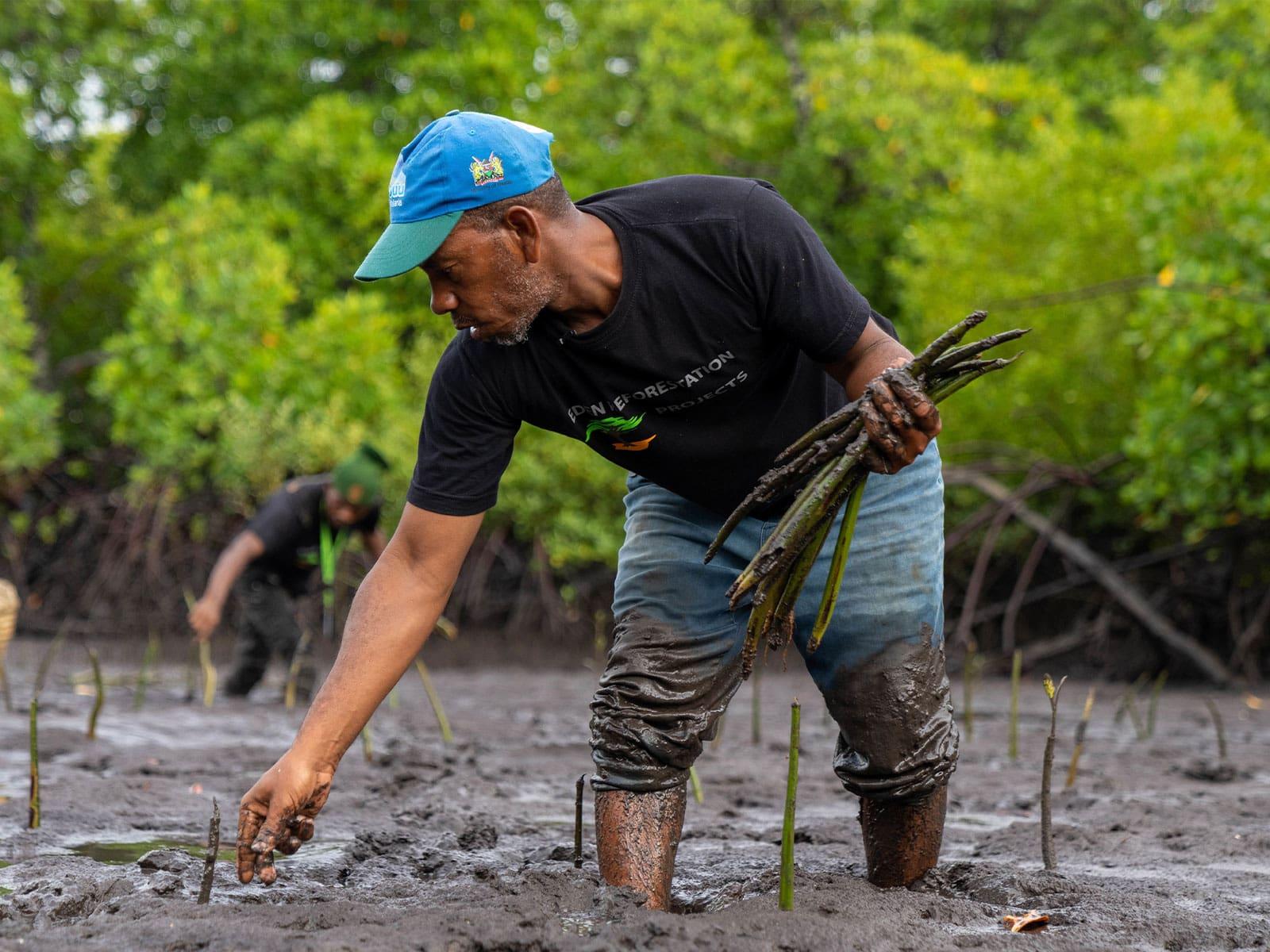 Tana Delta Reforestation-1