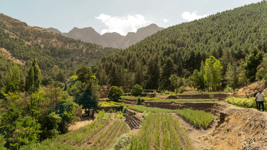 Tadmamt Nursery Project-1