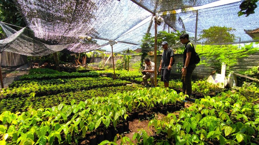 Watershed Reforestation in Bali and Citanduy-1