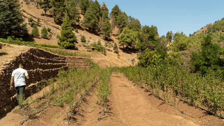 Tadmamt Nursery Project-2