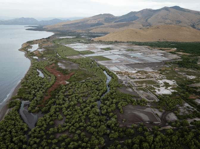 Restoring Coastal Wetlands in Indonesia-1