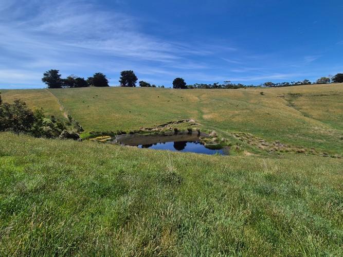 Strzelecki Ranges Restoration Project -1