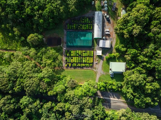 The Daintree Gateway Restoration Project-3