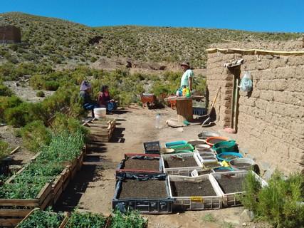 Clean water and sanitation