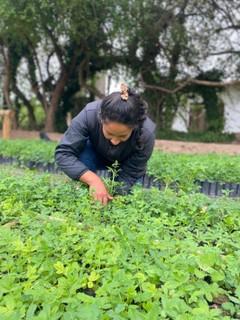 Decent work and economic growth