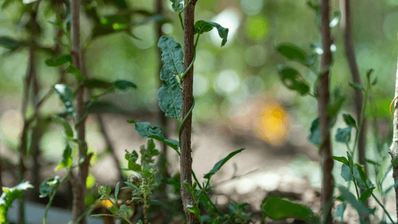 Reduced inequalities