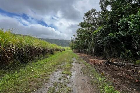 Clean water and sanitation