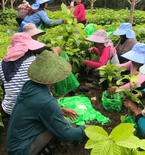 Decent work and economic growth