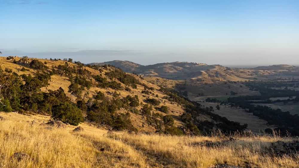 Barbaloot Reserve-1