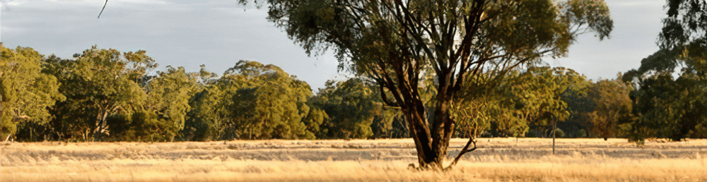 Wimmera Biodiversity Hotspot-0