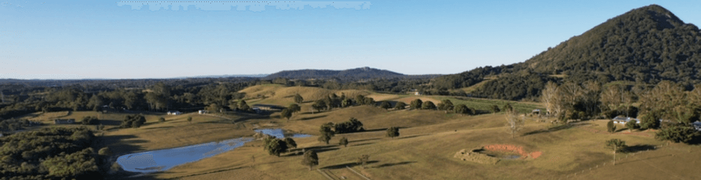 Cooroy Mountain Wildlife Corridor-0