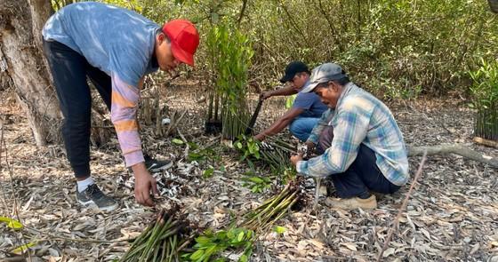 Decent work and economic growth
