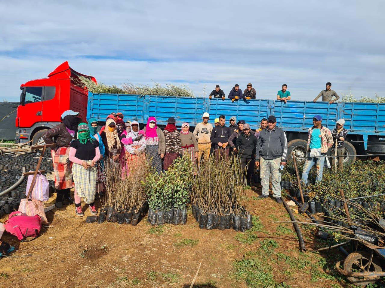 Food Forests in the Atlas Mountains-2