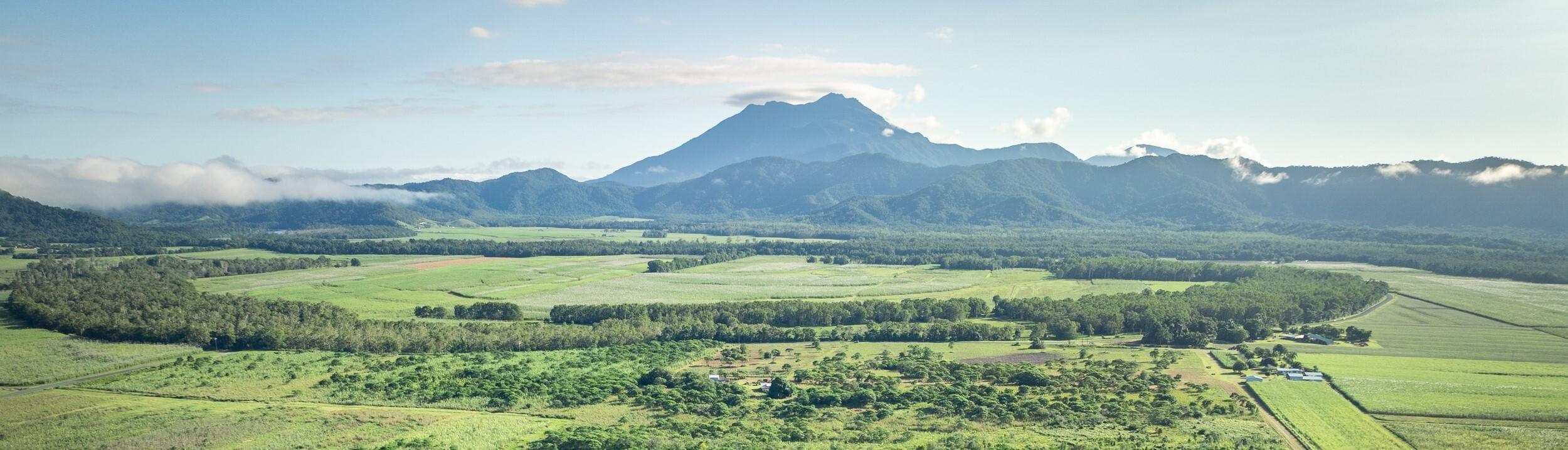 The Daintree Gateway Restoration Project-0