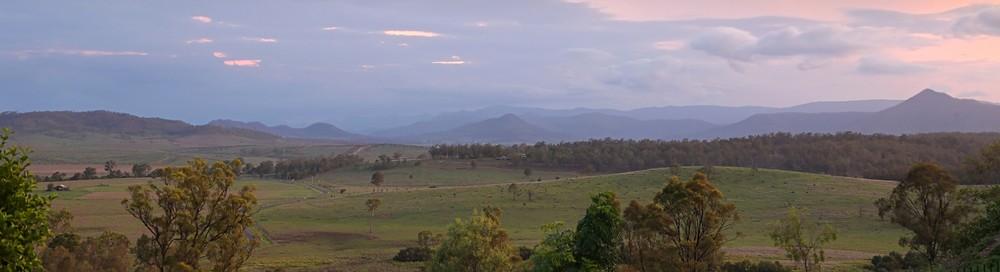Hidden Vale Koala Habitat-0