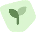 Project Type
