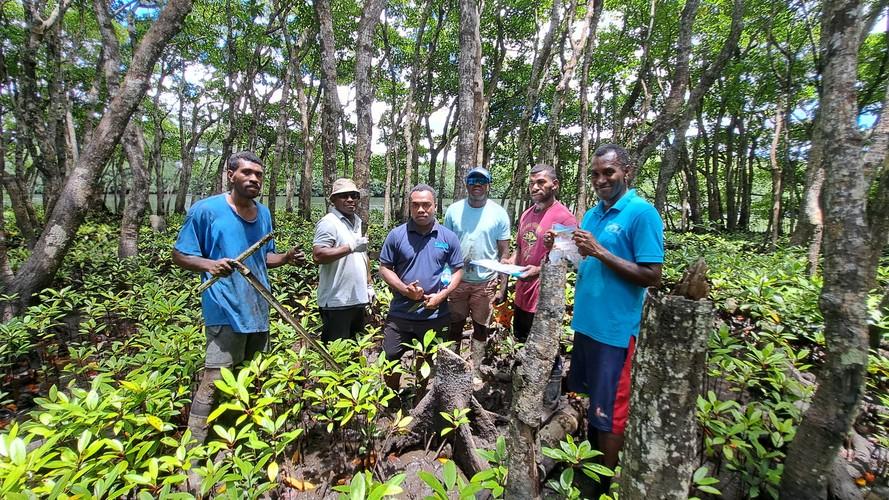Restoration of the Nakauvadra Mountain Foothills-6