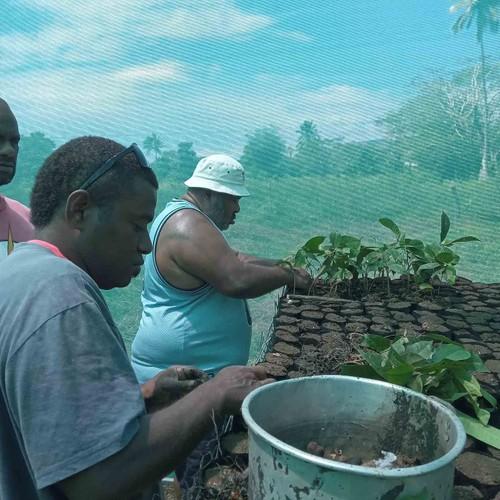 Restoration of the Nakauvadra Mountain Foothills-7