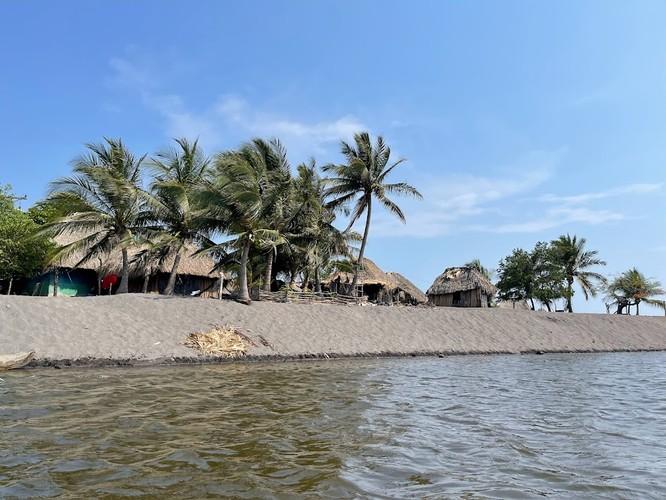 Guatemala Mangrove Restoration Project-2