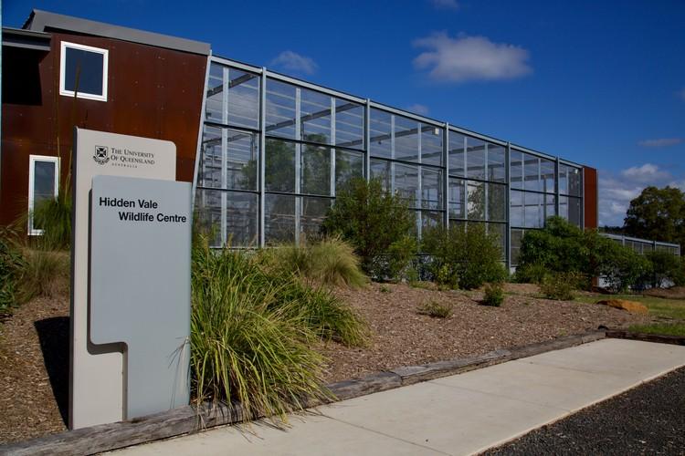 Hidden Vale Koala Habitat-9