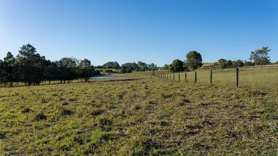 cooroy-background.jpg