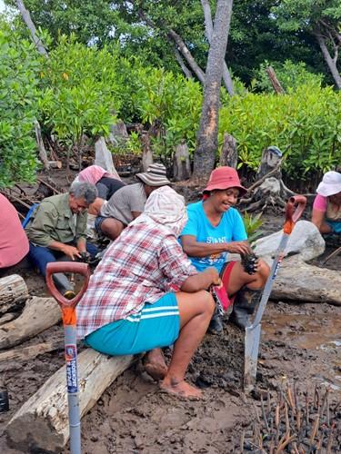 Restoration of the Nakauvadra Mountain Foothills-2