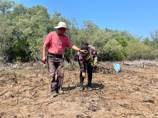 Guatemala Mangrove Restoration Project-1