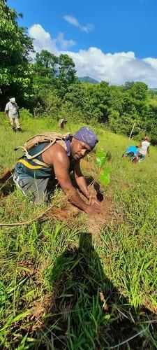 Restoration of the Nakauvadra Mountain Foothills-4
