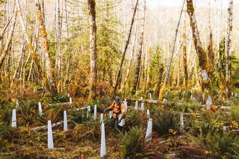 Climate action