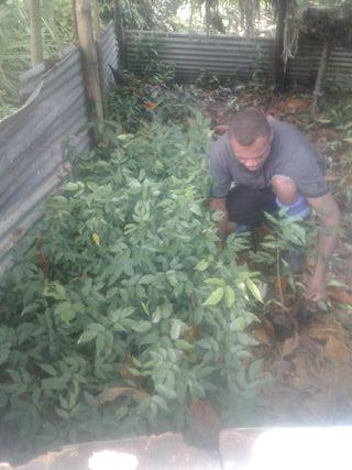 Life on land