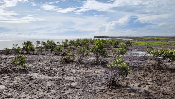 Climate action
